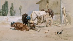 Die Siesta
